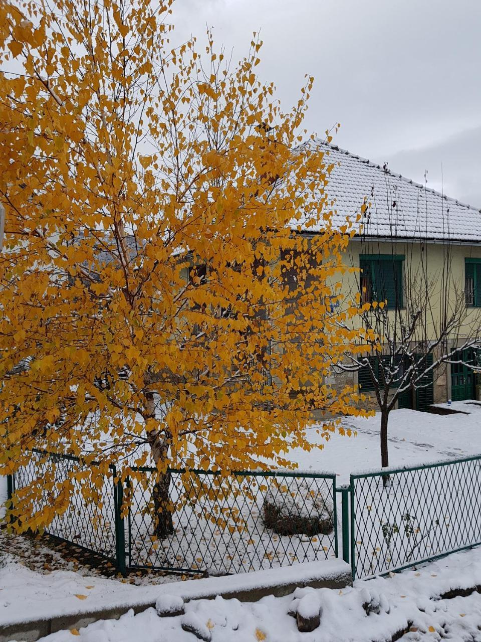 Apartment Center Kolašin Exteriér fotografie